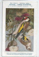 CP : Musée Royale D'histoire Naturelle De Belgique - Oiseaux - N°131 Chardonneret élégant - Signé Hub. Dupond (2 Scans) - Verzamelingen & Kavels