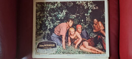 Lobby Card 1950 Jhonny Weissmuller Tarzan  Jungle Jim Jim La Jungle  Captive Parmi Les Fauves E - Photos