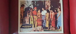 Lobby Card 1950 Jhonny Weissmuller Tarzan  Jungle Jim Jim La Jungle  Captive Parmi Les Fauves E - Photos
