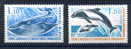 RC 26483 TAAF COTE 15,60€ N° 64 / 65 FAUNE MARINE NEUF ** MNH TB - Nuevos