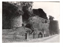 Binche ( Photo De Presse Au Format CPM ) - Binche