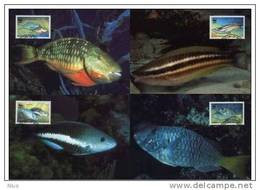 Grenada Carriacou & Petite Martinique 2001 WWF W.W.F. MC Set X4 Fish Fishes Fauna - Cartes-maximum