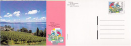 Schweiz Suisse 2001: Bodensee (Velo) Lac De Constance (bicyclette) Lago Di (CPI Entier  Bild-PK) Ungelaufen Non Circulé - Vélo