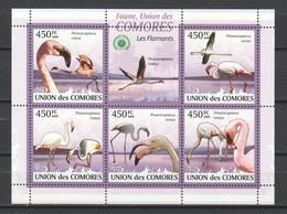 Comores 2009 Kleinbogen Mi 2402-2406 MNH FLAMINGO BIRDS - Flamingo's