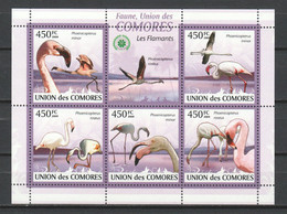 Comores 2009 Kleinbogen Mi 2402-2406 MNH FLAMINGO BIRDS - Flamencos