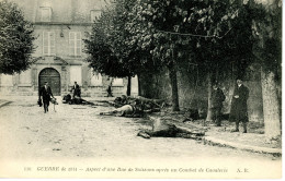 CPA Soissons Chevaux Mort Après Un Combat De Cavalerie En 1914 - Soissons