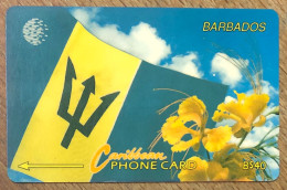 BARBADOS FLAG B$ 40 CARIBBEAN CABLE & WIRELESS SCHEDA PREPAID TELECARTE TELEFONKARTE PHONECARD - Barbades