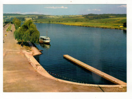 REMICH - Promenades Esplanade Et Moselle. - Remich