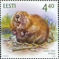Estonia Estland Estonie 2005 Beaver Stamp MNH - Rongeurs