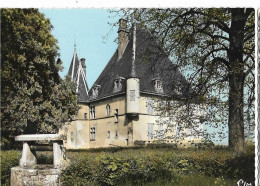 GUEUGNON (7) Château De Mazoncle Cim 17, Cpsm GF (envoi 1963) - Gueugnon