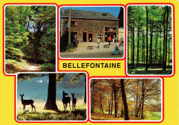 BIEVRE (Bellefontaine) : Verblijfscentrum Duinen-Heide - Bièvre