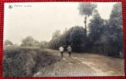 PIETRAIN  -  La Vallée - Jodoigne