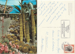 MONACO  544 (o) Carte Postale Lido Du Vieux Fort  + Cactus  + Flamme Couronne Du Blason 4 Sept 1965 - Gebraucht