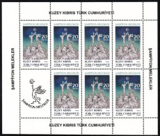 2023 Cyprus (Turkish Post) "Champion Angels": Memorial For The High School Volleyball Squad Sheetlet (** / MNH / UMM) - Volley-Ball