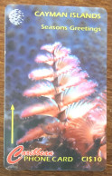 CAYMAN ISLANDS CI$ 10 CARIBBEAN CABLE & WIRELESS SCHEDA TELECARTE TELEFONKARTE PHONECARD CALLING CARD - Isole Caiman