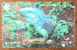 CAYMAN ISLANDS IGUANA CI$ 10 CARIBBEAN CABLE & WIRELESS SCHEDA TELECARTE TELEFONKARTE PHONECARD CALLING CARD - Cayman Islands