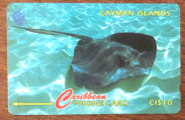 CAYMAN ISLANDS RAIE POISSON CI$ 10 CARIBBEAN CABLE & WIRELESS SCHEDA TELECARTE TELEFONKARTE PHONECARD CALLING CARD - Isole Caiman