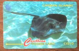 CAYMAN ISLANDS RAIE POISSON CI$ 10 CARIBBEAN CABLE & WIRELESS SCHEDA TELECARTE TELEFONKARTE PHONECARD CALLING CARD - Iles Cayman