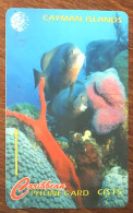 CAYMAN ISLANDS POISSON CI$ 15 CARIBBEAN CABLE & WIRELESS SCHEDA TELECARTE TELEFONKARTE PHONECARD CALLING CARD - Kaaimaneilanden