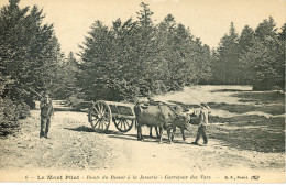 CPA Le Mont Pilat,route Du Bessat à La Jasserie - Mont Pilat