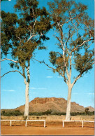 25-11-2023 (3 V 21) Australia - NT - Twin Gums Hermannsburg Road - Alice Springs