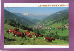 74 LE GRAND BORNAND Le Village Dans Une Ambiance D'Alpage  Photo B. Charrier  Troupeau De Vaches - Le Grand Bornand