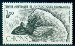 1981 Animals Of Antarctica,Small Sheathbill,Bird,,TAAF,Mi.162,MNH - Pigeons & Columbiformes