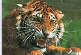 PUZZLE FORMAT CARTE POSTALE - E - TIGRE - Tigres