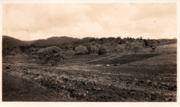 Paysage De Tanzanie - Carte Postée D'Arusha 1932 - Timbres Territory Of Tanganyika (5c Et 10c) - Tansania