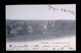 Cp, 16, SEGONZAC, Vue Générale Prise De La Tour, Dos Simple, Voyagée 1903 - Other & Unclassified