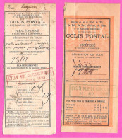 Lot 2 Récépissés Colis Postal Chemins De Fer France Et Etranger Cachet Bureau Lyon Rue De Constantine 1892 & 1893 - Covers & Documents
