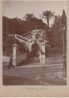 MONACO - Entrée Des Jardins (photos Collées Recto Verso) - Exotic Garden