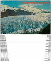 Photo Cpsm Cpm ALASKA. Mendenhall Glacier 1977 - Autres & Non Classés