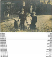 WW BELGIQUE FAMILLE ROYALE. Carte Photo Légendée. Majestés Roi Des Belges, Reine Et Enfants - Verzamelingen & Kavels
