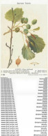 Carte Postal Fiche. British Trees Museum. Plantes Et Fleurs. Alder Alnus Glutinosa N° 124 - Arbres