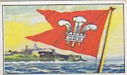 SB 00919 M. Brinkmann - Reedereiflaggen Der Welthandelsflotte - Bild Nr.240 England - Prince Line London - Otros & Sin Clasificación