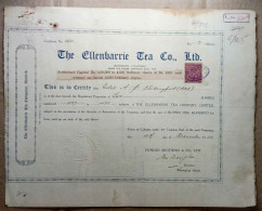 INDIA 1933 & 1934 ELLENBARRIE TEA COMPANY LIMITED, TEA ESTATE, TEA GARDENS....2 DIFFERENT SHARE CERTIFICATES - Landbouw