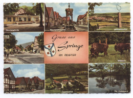 3257 Gruss Aus Springe Am Deister Gel. 1961 - Springe