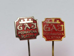 BADGE Z-98-14 - 2 PINS - Gaj Podravska Slatina Joinery, Kitchen, Furniture, Meubles, Wood Processing Croatia - Lots