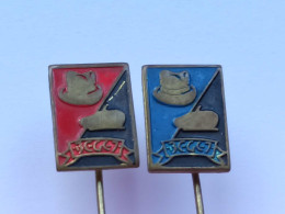 BADGE Z-98-15 - 2 PINS - BEGEJ, Chapeau, SESIR, HAT, - Lots