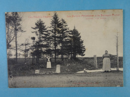 Les Hautes Fagnes Les Bornes Frontières à La Barque Michel - Jalhay