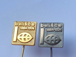 BADGE Z-98-18 - 2 PINS - BELISCE - Lotti