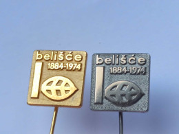BADGE Z-98-18 - 2 PINS - BELISCE - Sets