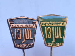 BADGE Z-98-19 - 2 PINS - AGROKOMBINAT 13. JUL TITOGRAD, MONTENEGRO - Lotes