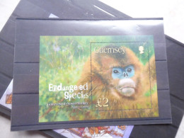 Guernesey Guernsey Bl Bloc Blok Sheet 53 Neuve ** Mnh 2004  Singes Monkey - Guernesey