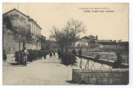 Spanien Toro Paseo Del Carmen 1919 Zamora - Zamora