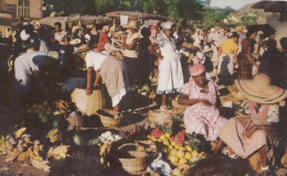 Jamaica Market Scene Old Postcard 1956 - Jamaïque