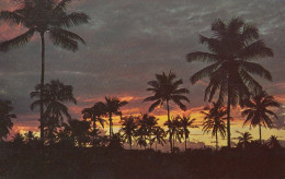 Jamaica Beautiful Sunset Old Postcard - Jamaïque