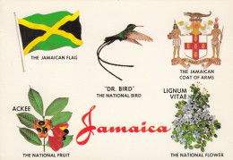 Jamaica Flag Coat Of Arms National Bird Fruit Flower Old Postcard - Jamaïque