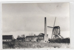 Woesten. Molen Ampe Of Oostmolen. Uitgave Stichting Levende Molens. * - Vleteren